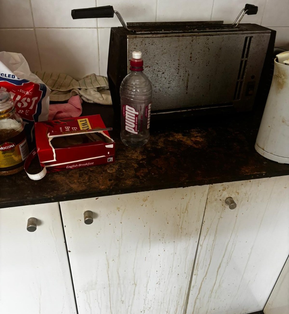 After cleaning Sydney kitchen